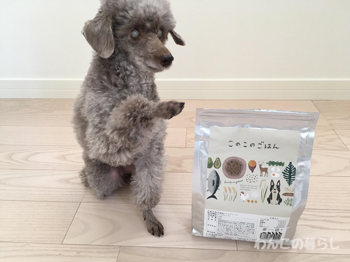 無限 みなす パントリー トイ プードル 子犬 ドッグフード Diningbar Shin Jp