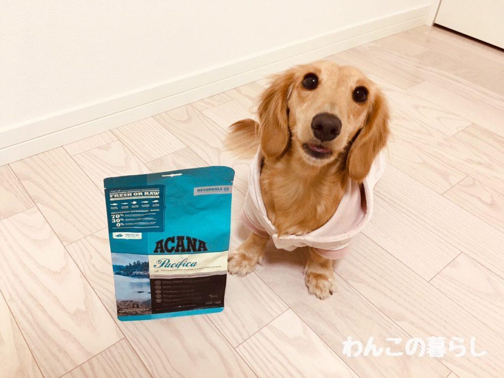 性交 カーテン におい 犬 餌 アカナ Loudmouthcustoms Com